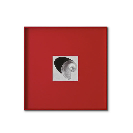 Spiral Shell FRAMED | Minimalist Nature Canvas Print | Red Aluminium Frame Wall Art | Modern Coastal Décor | Living Room & Study Art